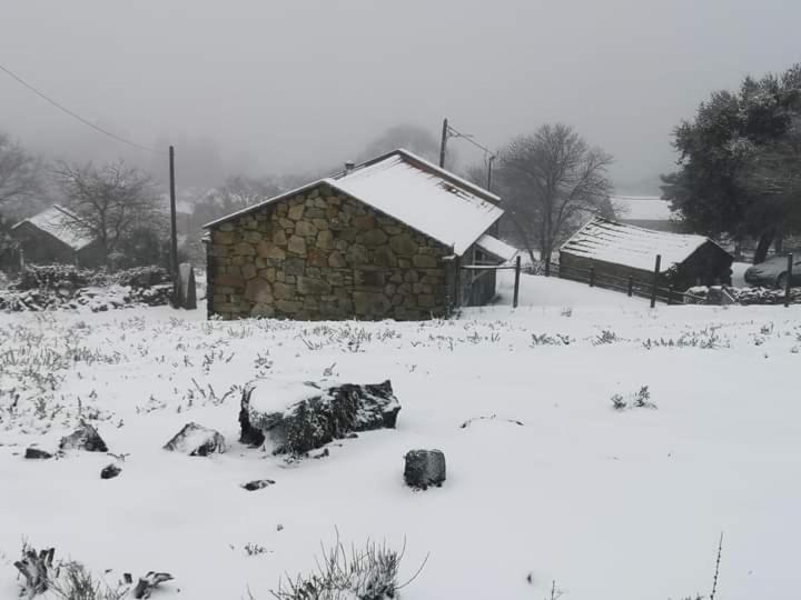 Cardenha Da Bessada Βίλα Branda de Santo António Εξωτερικό φωτογραφία