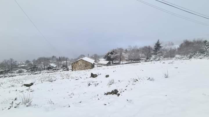 Cardenha Da Bessada Βίλα Branda de Santo António Εξωτερικό φωτογραφία